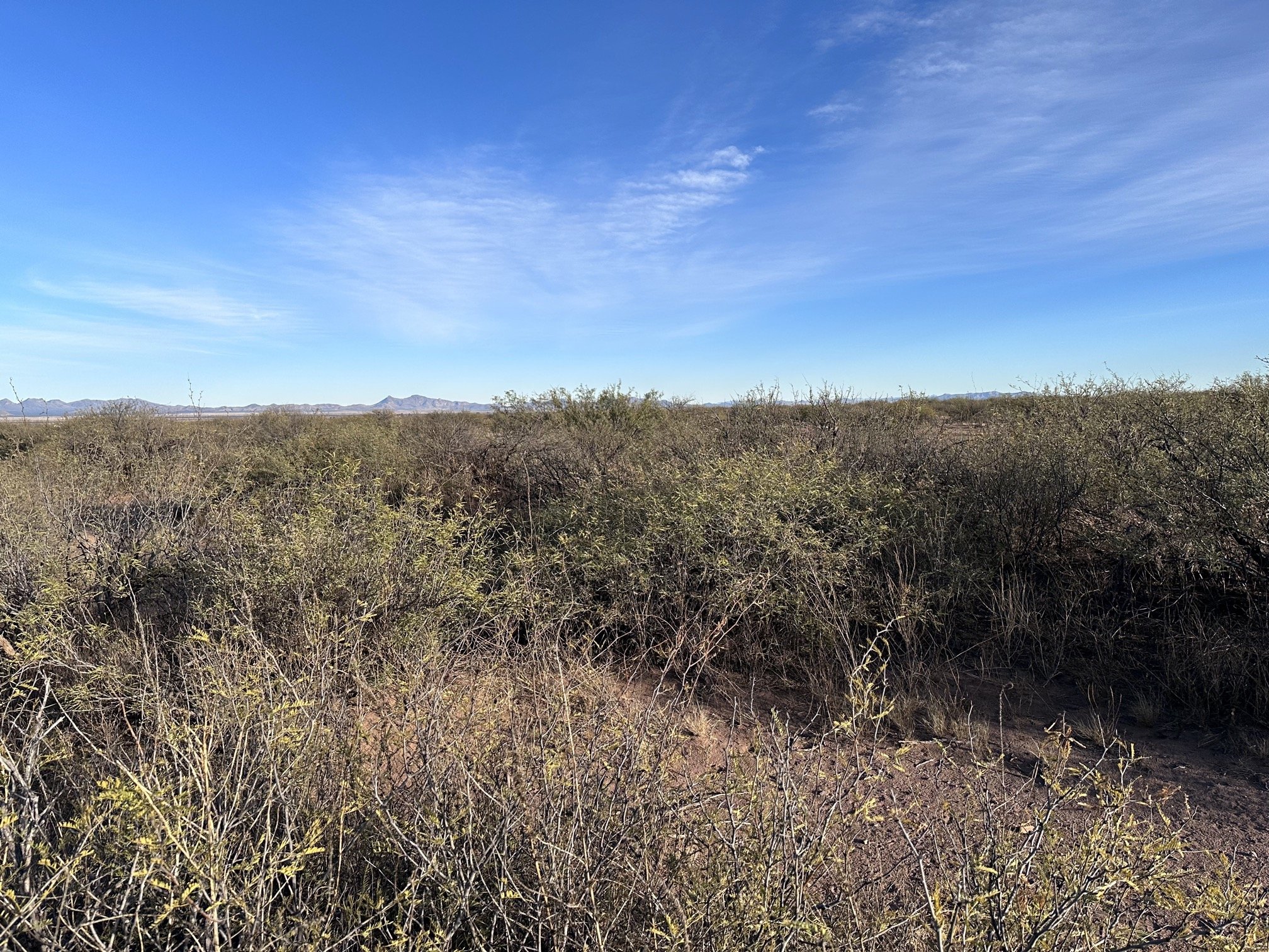 AZ - Cochise - 10325006C-D - 035.jpeg