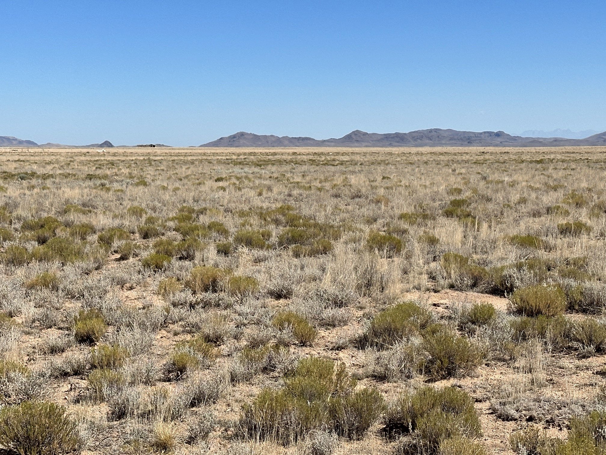 CO - Costilla - 71500220 - IMG_7109.jpeg