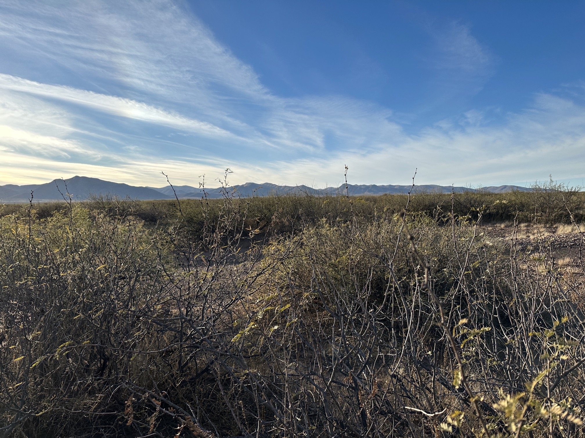 AZ - Cochise - 10325006C-D - 031.jpeg
