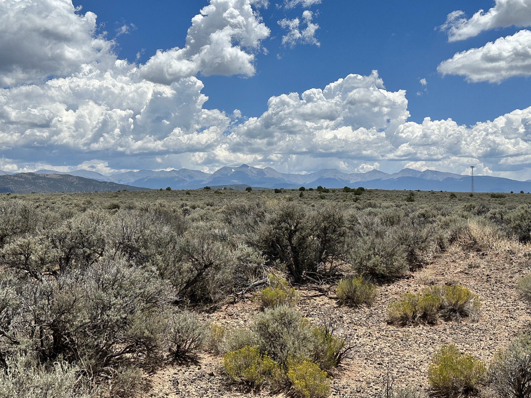 Own A Piece of Heaven in Colorado! 3.95 Acres to Roam, Camp or Build!
