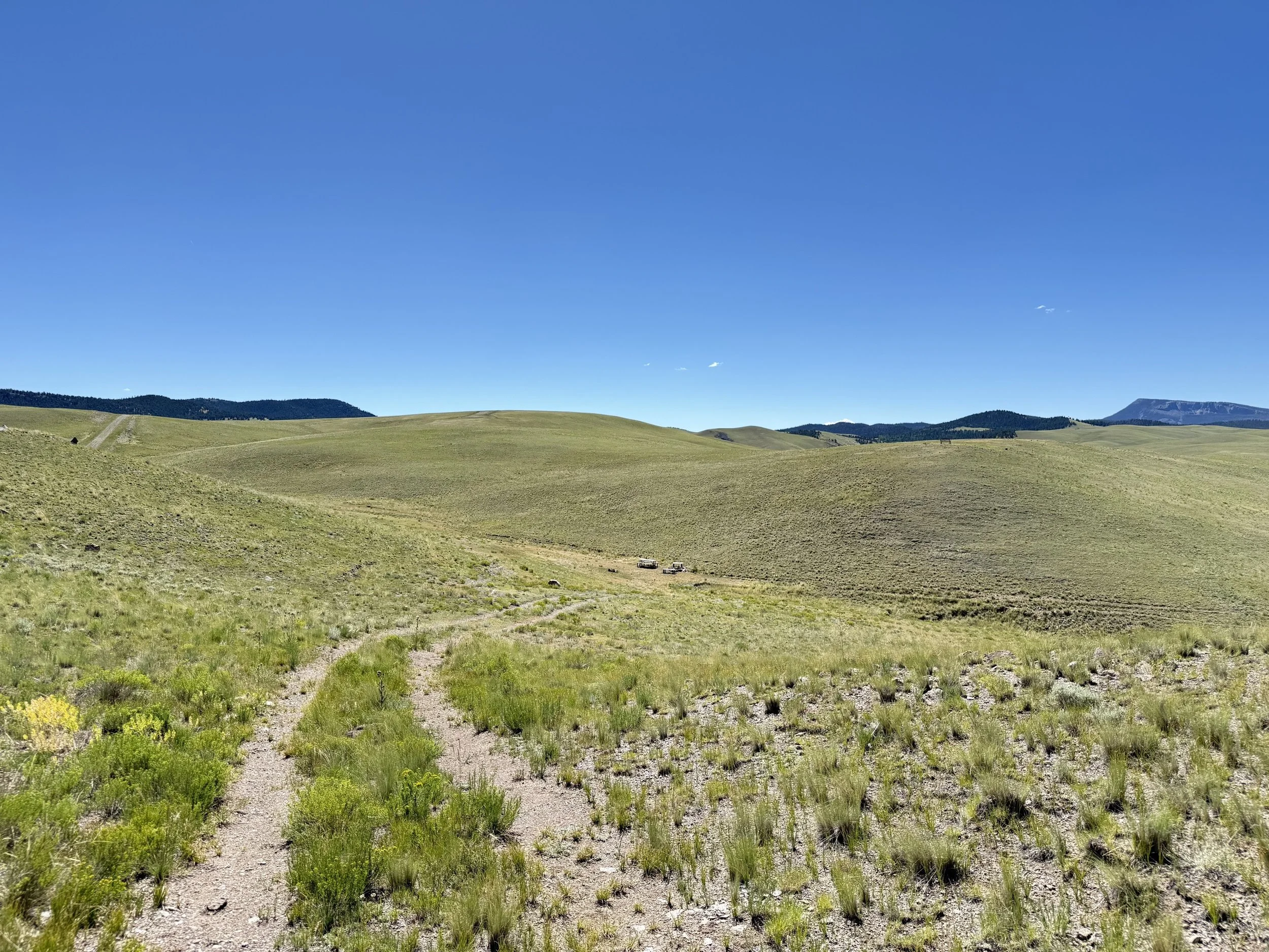 CO - Park - 9634 - 39.jpeg