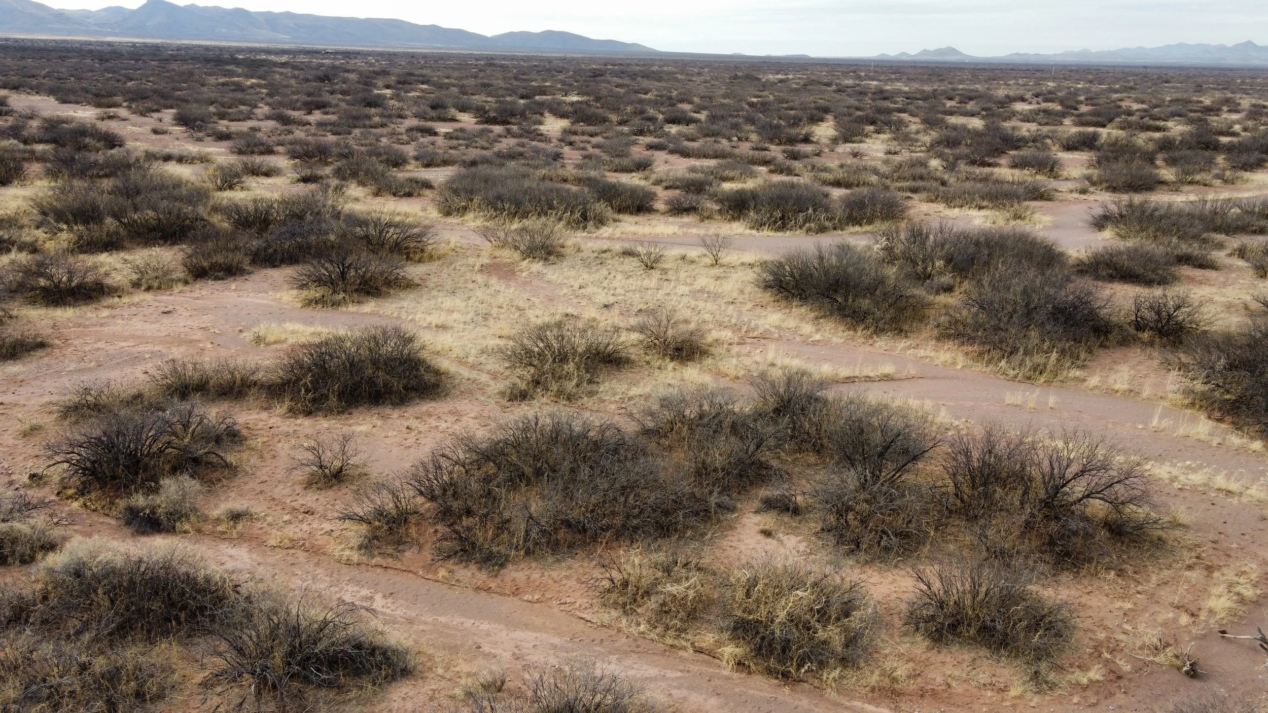 AZ - Cochise - 10328079-80 - 005.JPG