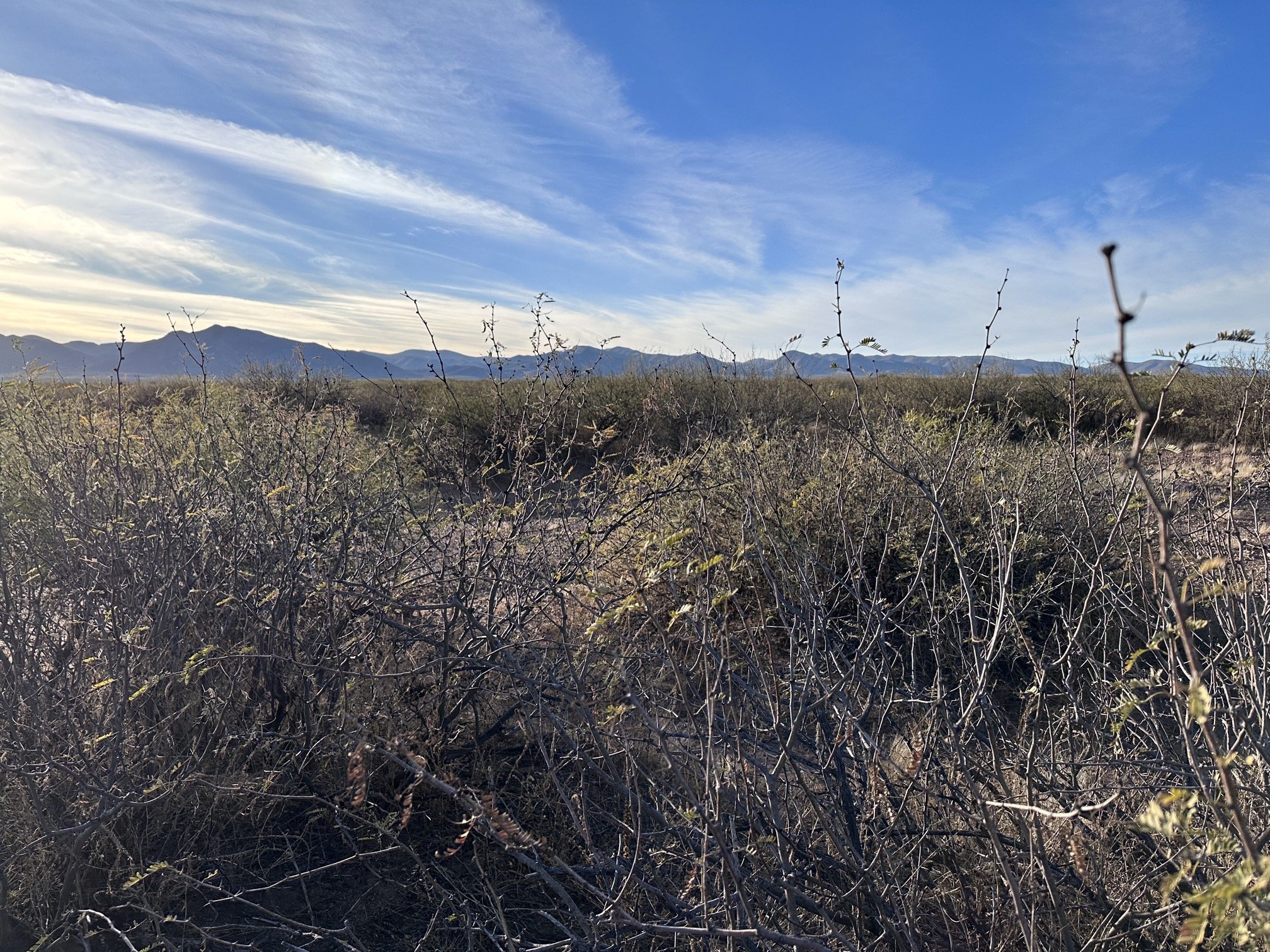 AZ - Cochise - 10325006C-D - 034.jpeg
