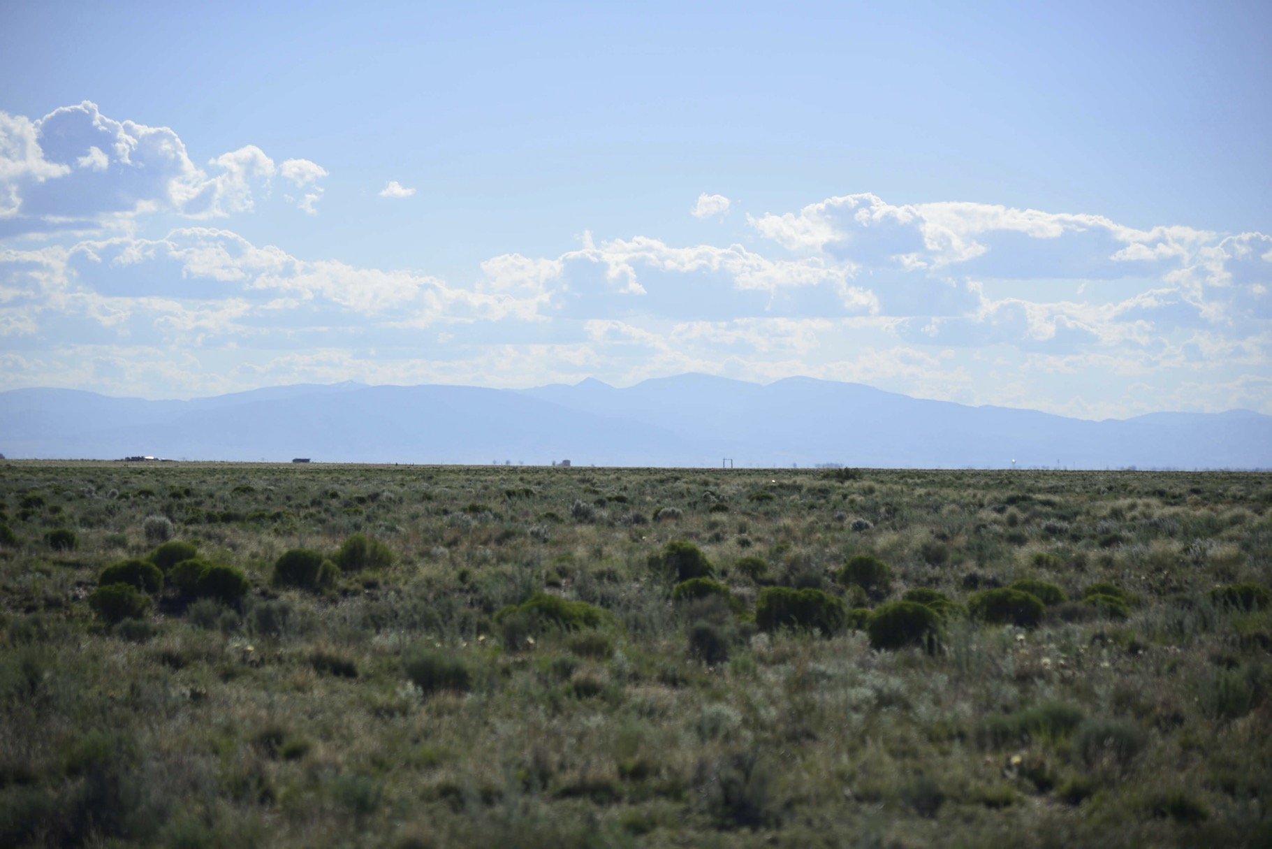 CO - Costilla - 70372520 - 37.jpg