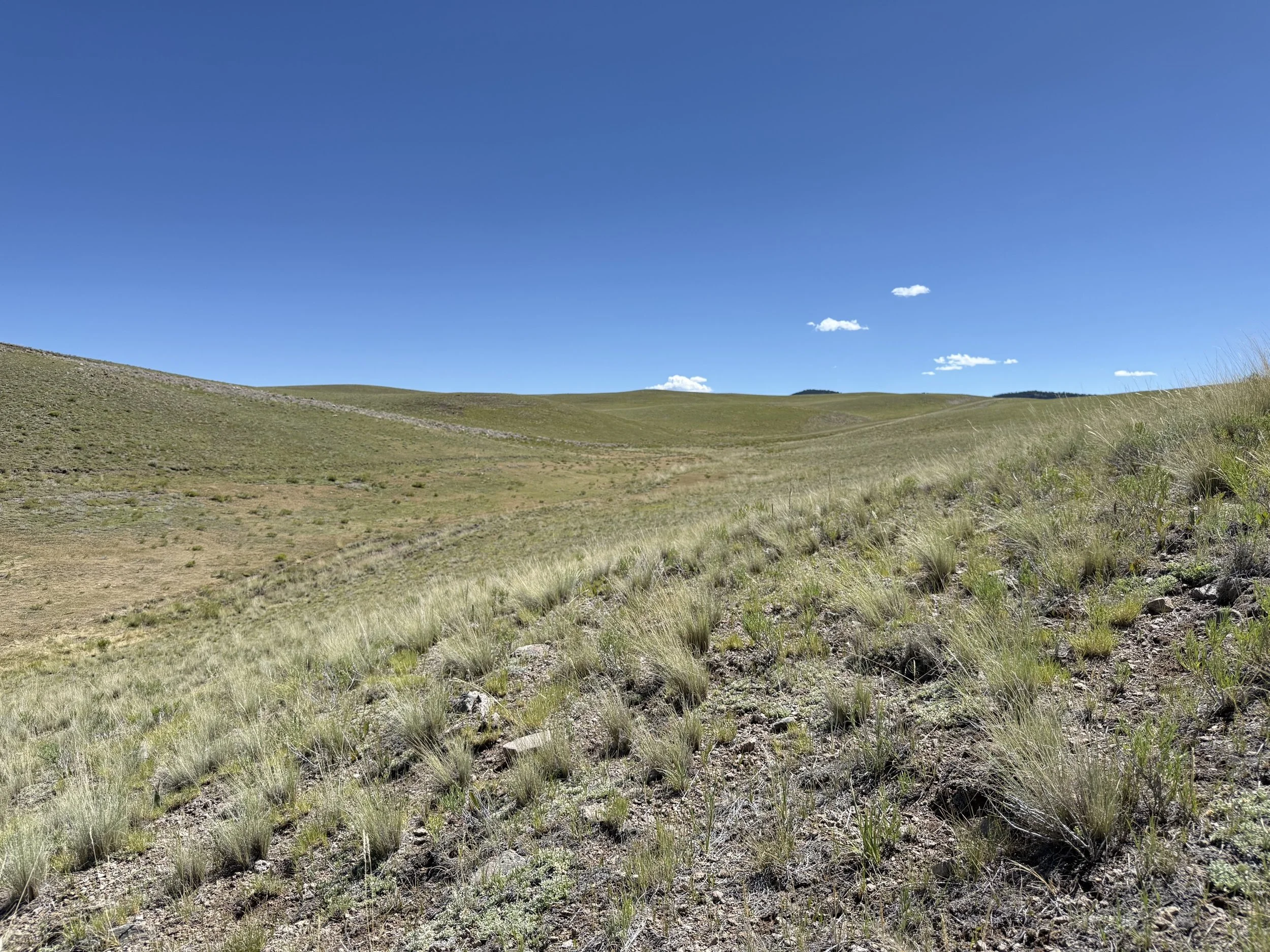 CO - Park - 9634 - 57.jpeg