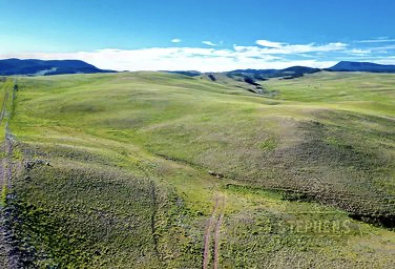drone_campsite_03.jpeg
