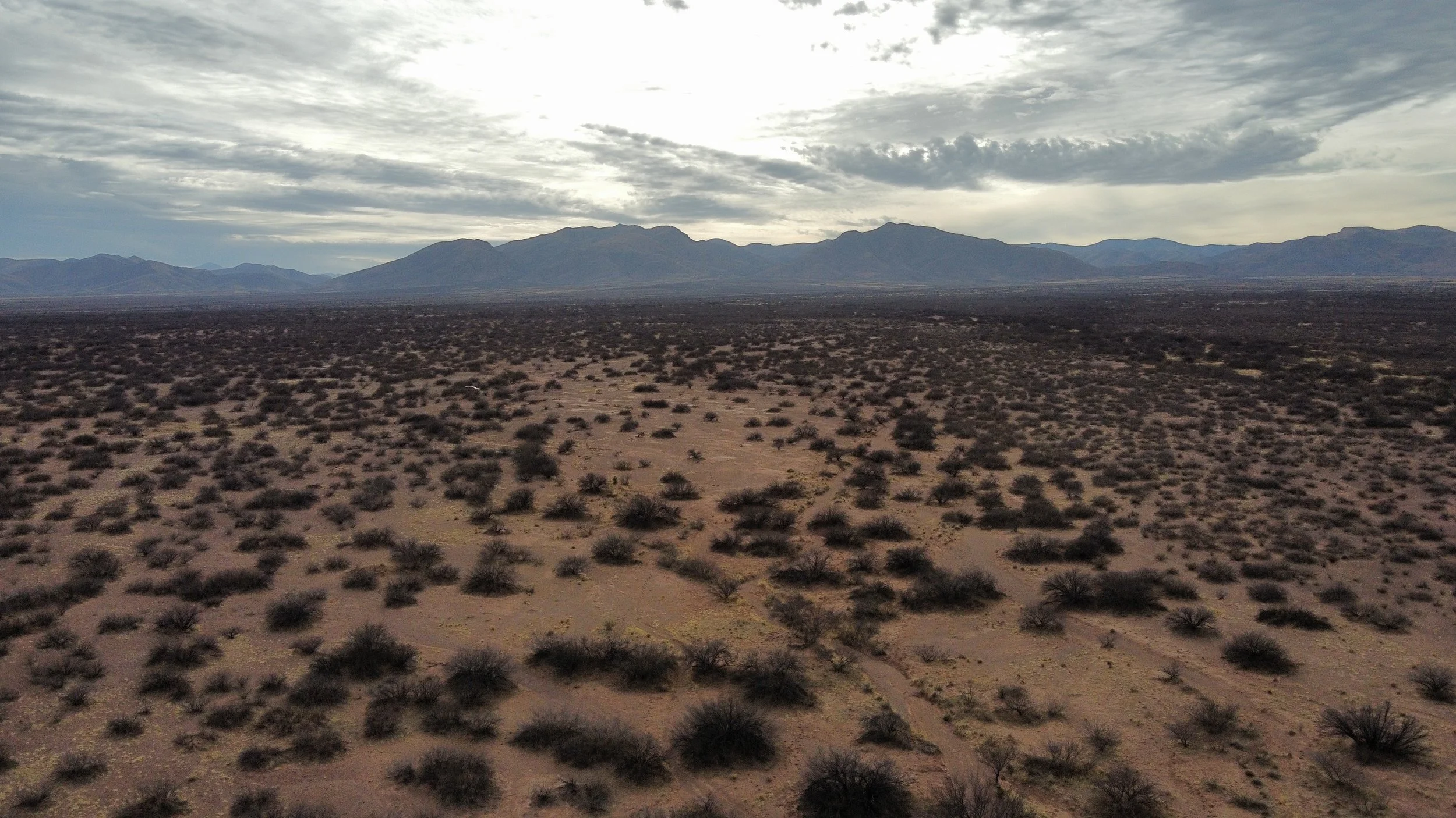 AZ - Cochise - 10328079-80 - 021.JPG