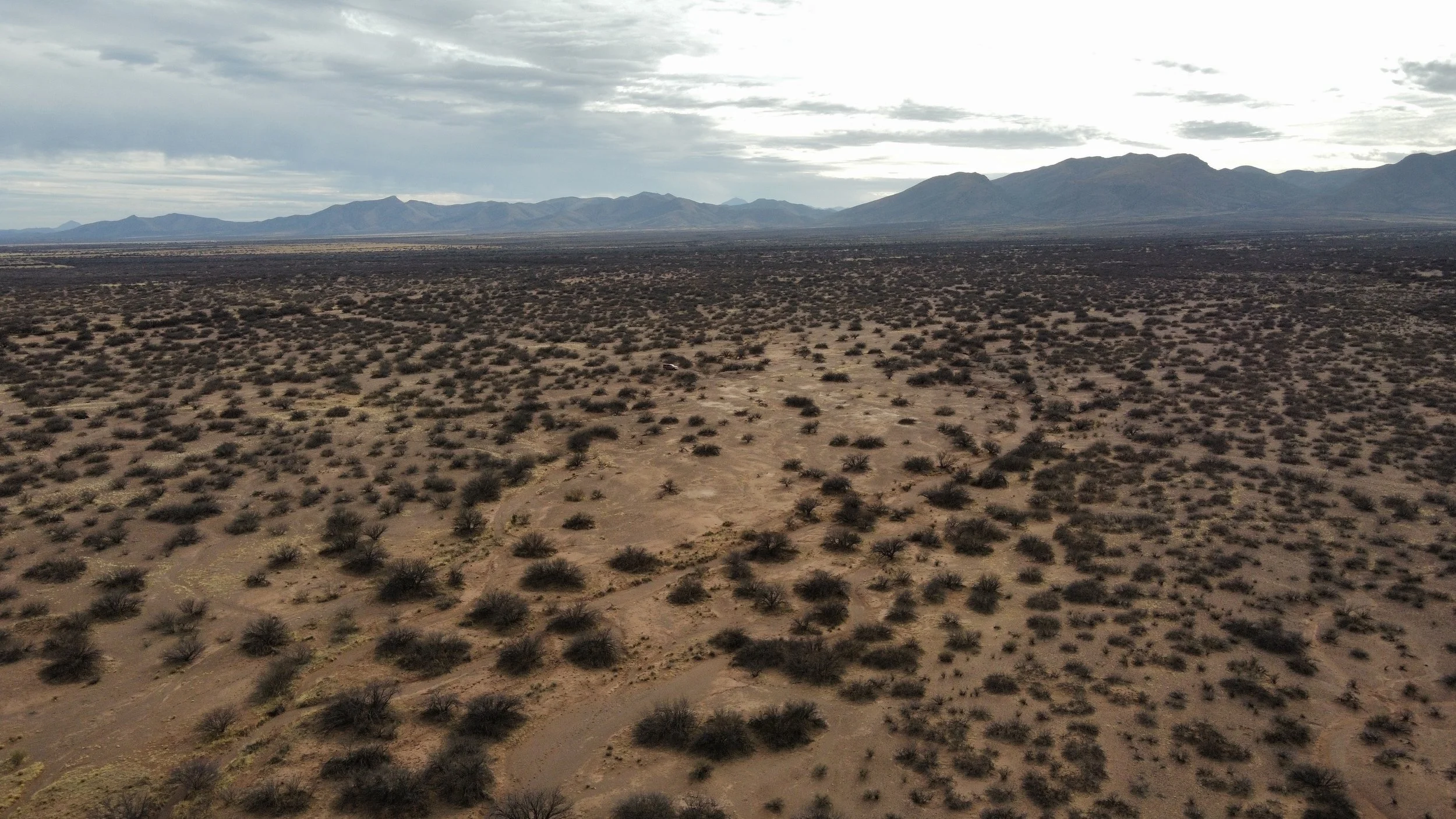 AZ - Cochise - 10328079-80 - 012.JPG