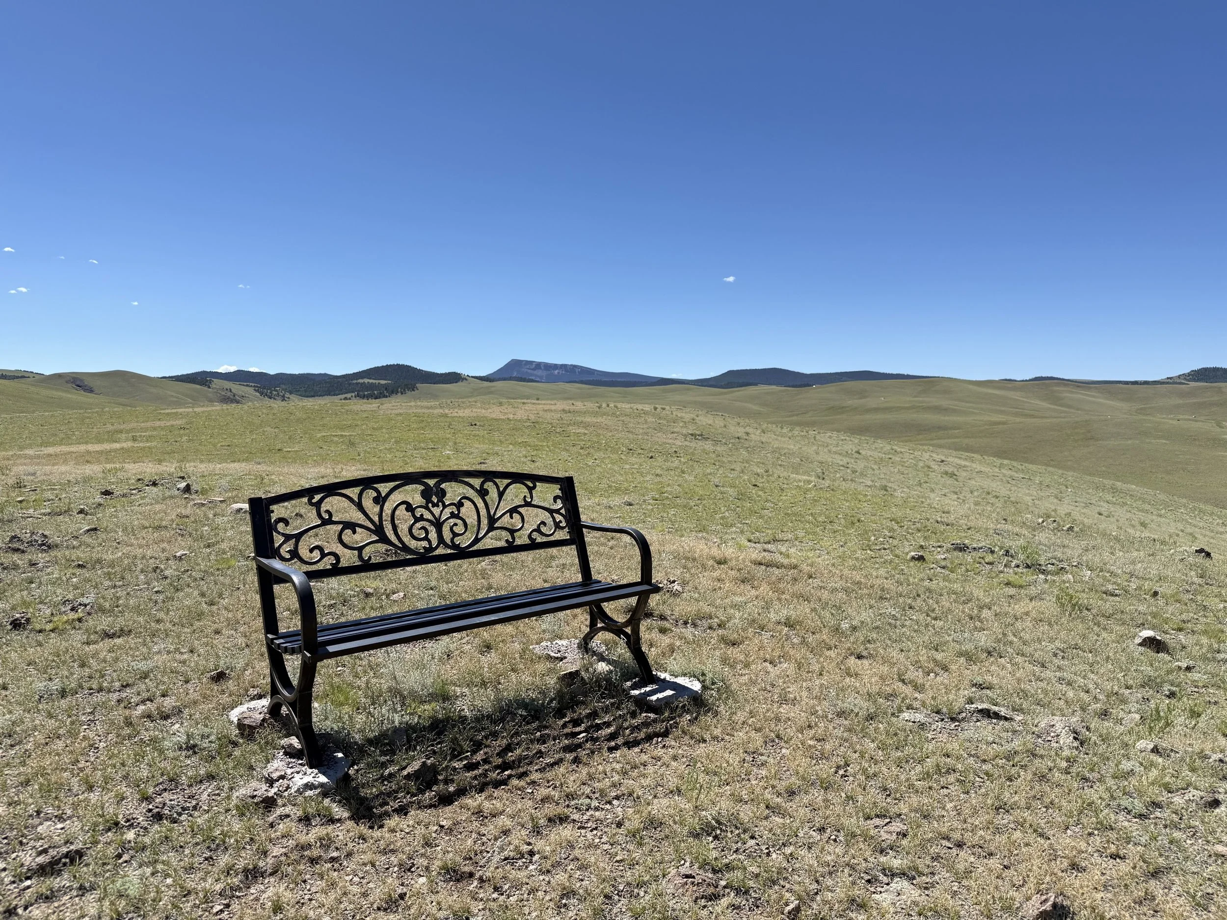 Seating bench is located at the highest point on the property