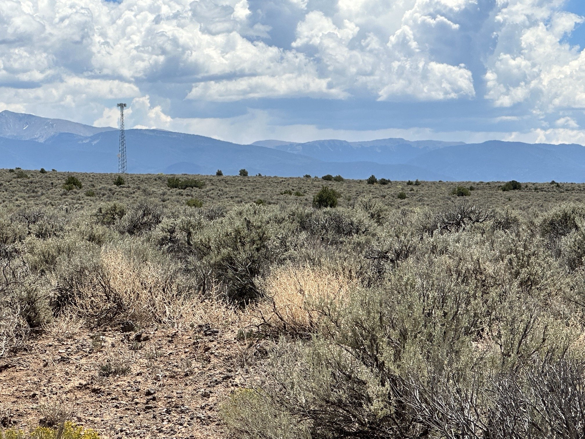 GREAT cell service - cell tower is visible from the property