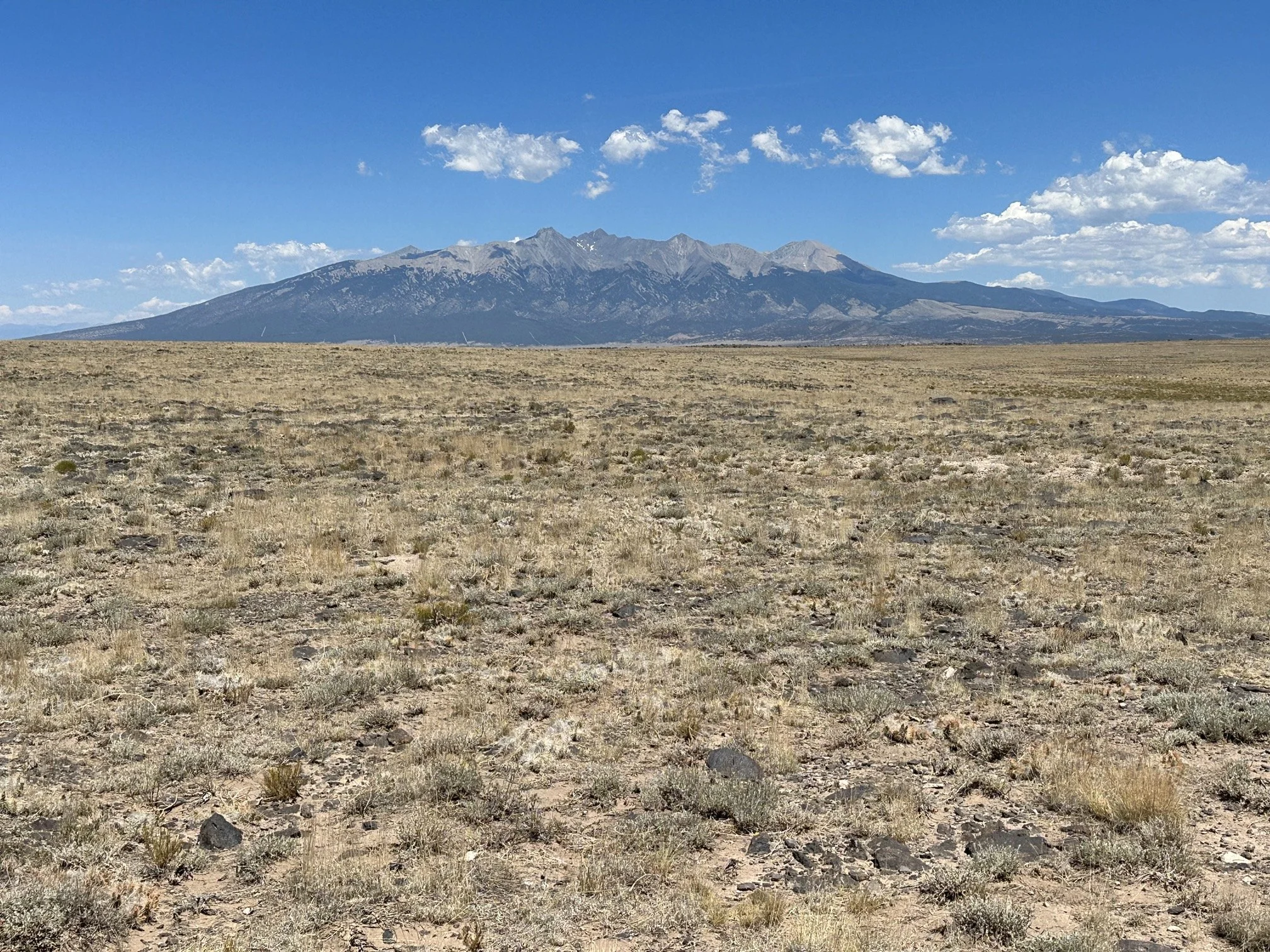 Wildlife abounds in the San Luis Valley