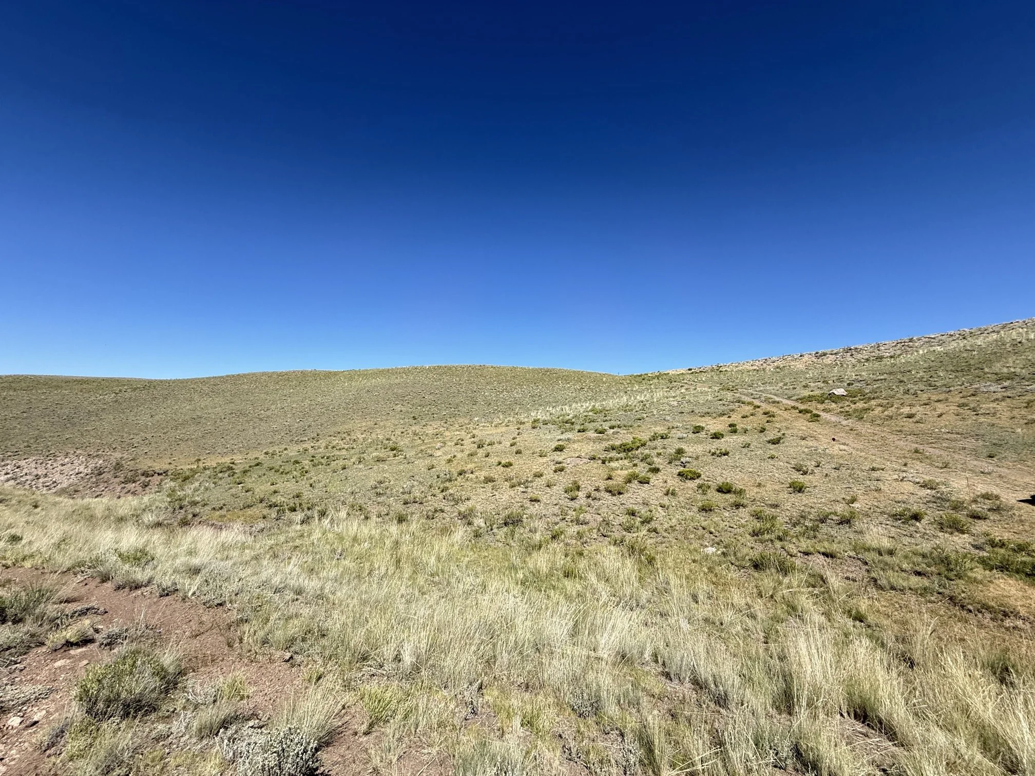 CO - Park - 9634 - 50.jpeg