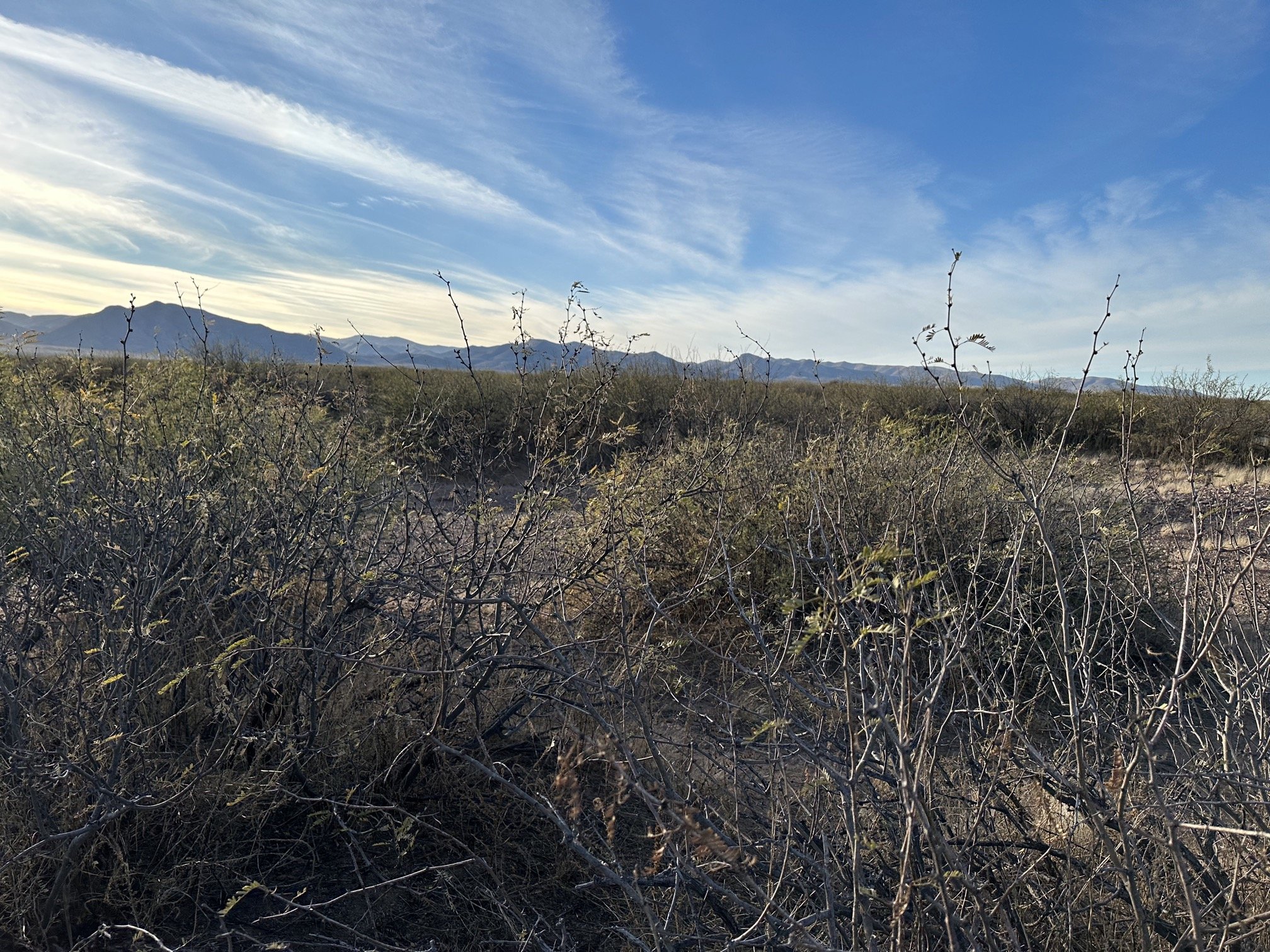 AZ - Cochise - 10325006C-D - 038.jpeg