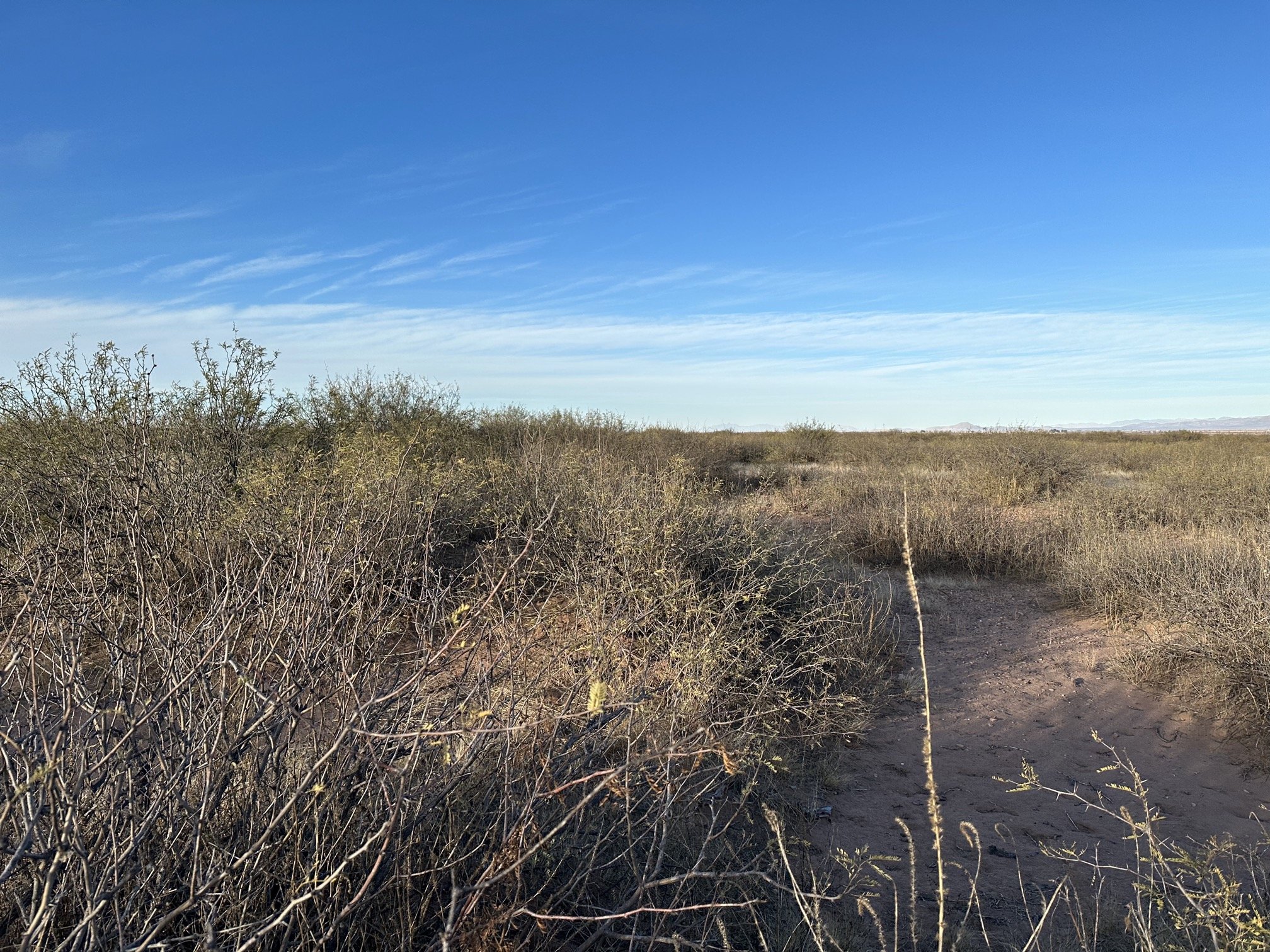 AZ - Cochise - 10325006C-D - 037.jpeg