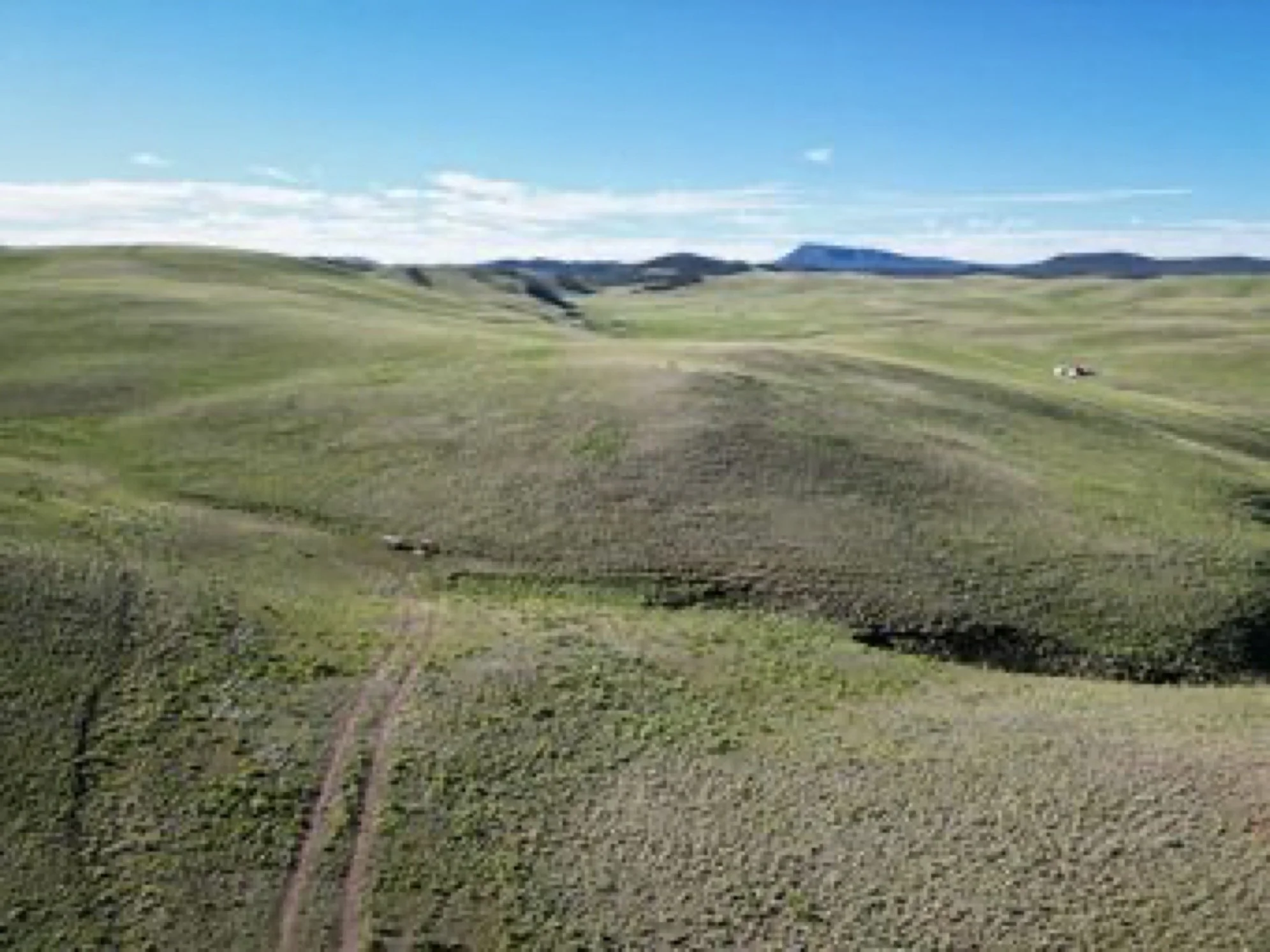 DJI_0109.jpeg