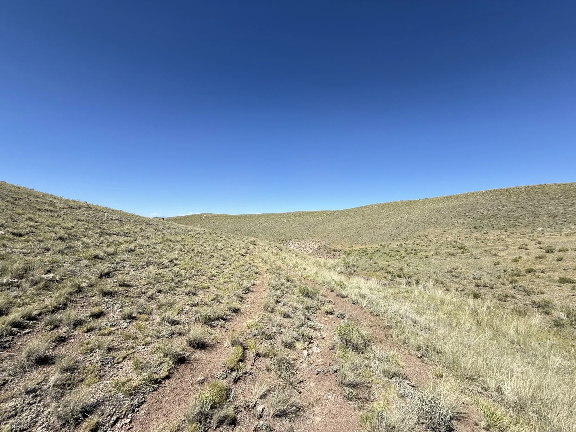 CO - Park - 9634 - 51.jpeg