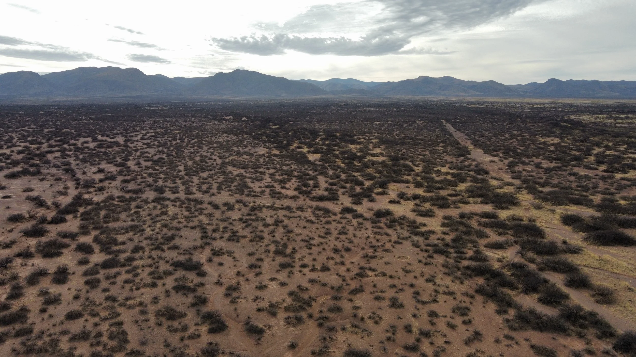 AZ - Cochise - 10328079-80 - 011.JPG