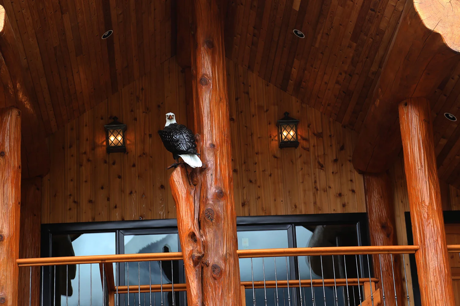 little wolf eagle - installed 1-ws.jpg