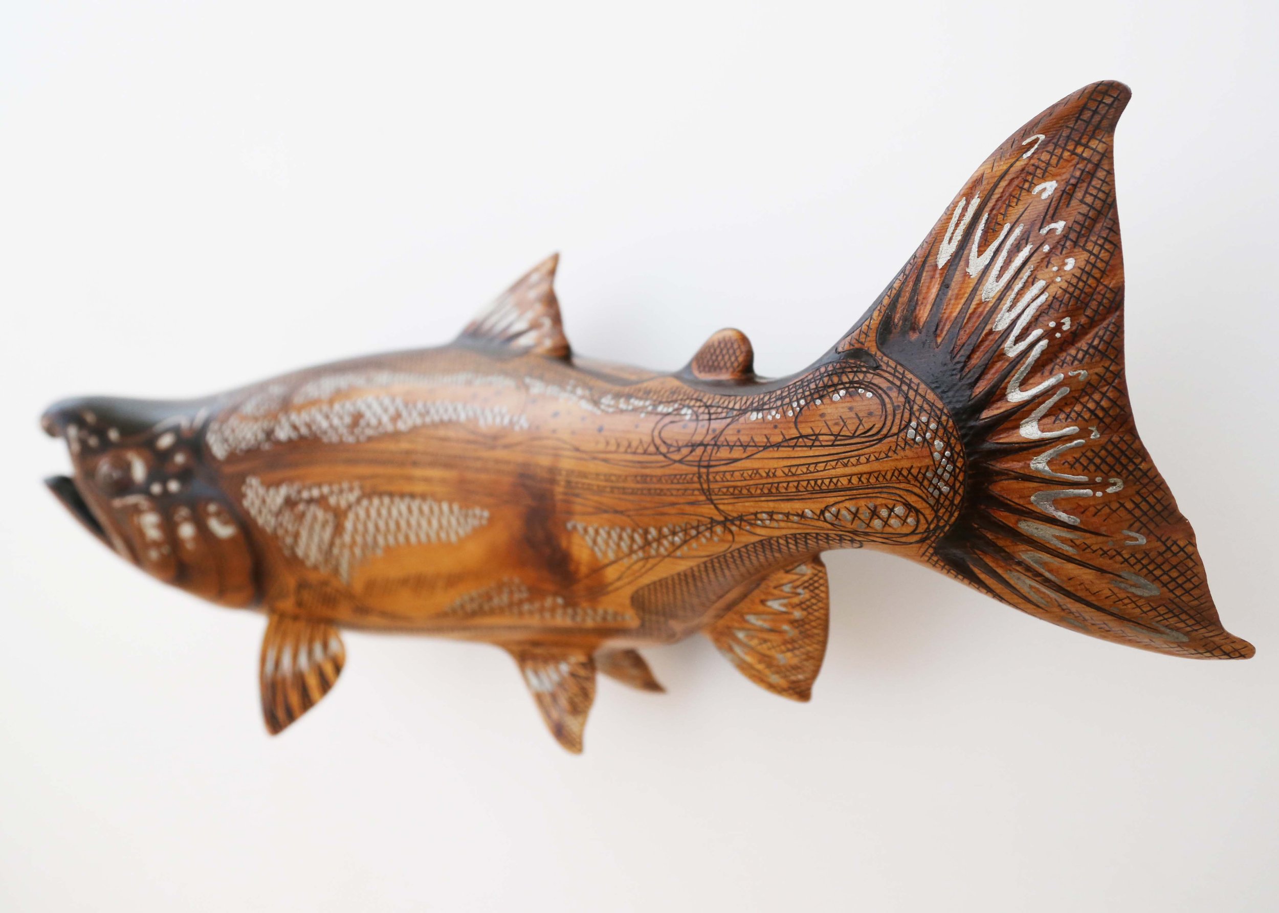 2021-8- coho sketch style 1-1 -ws.jpg