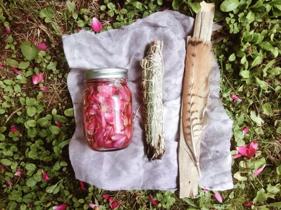 Wild Rose + Honey Elixir