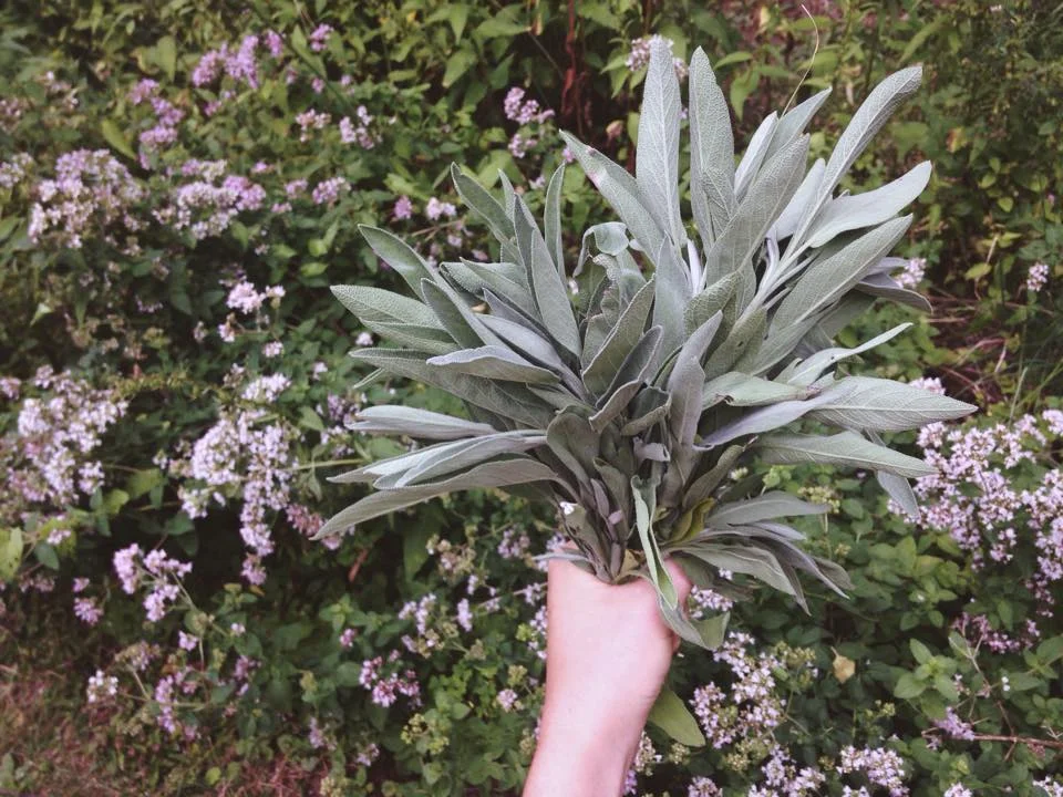 Sage Smudge Bundle