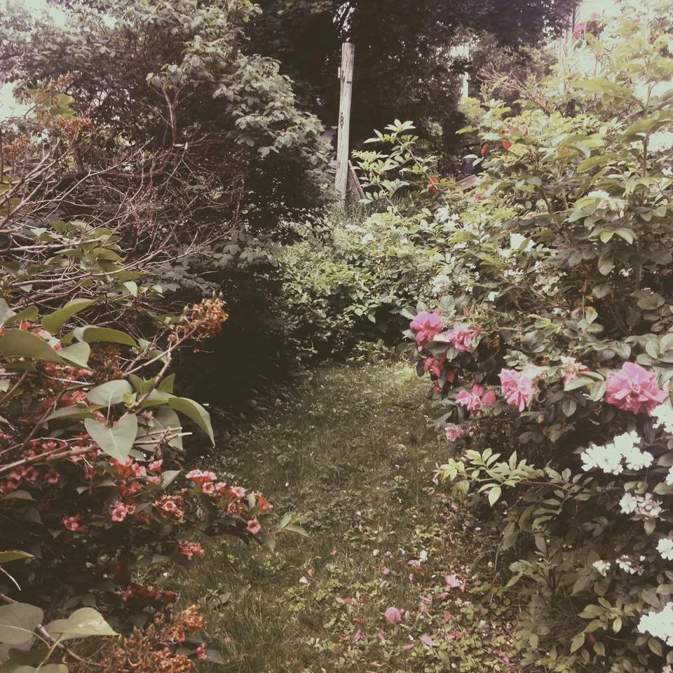 Planning for Miracles