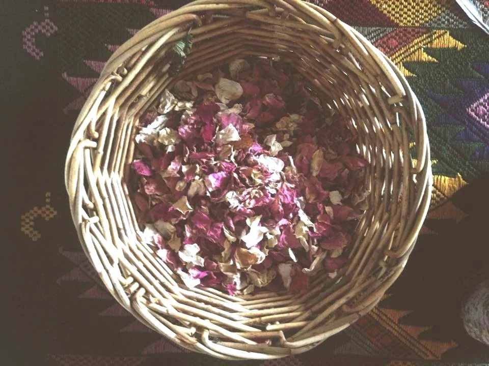 Rose~ Welcoming Venus Ritual