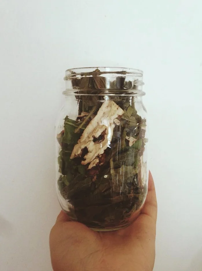 Dandelion Tincture~