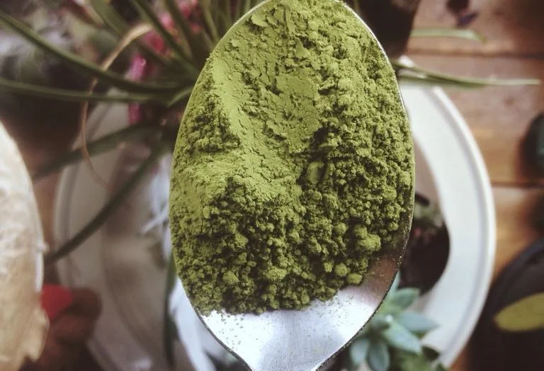 Raw Matcha Chia Pudding 