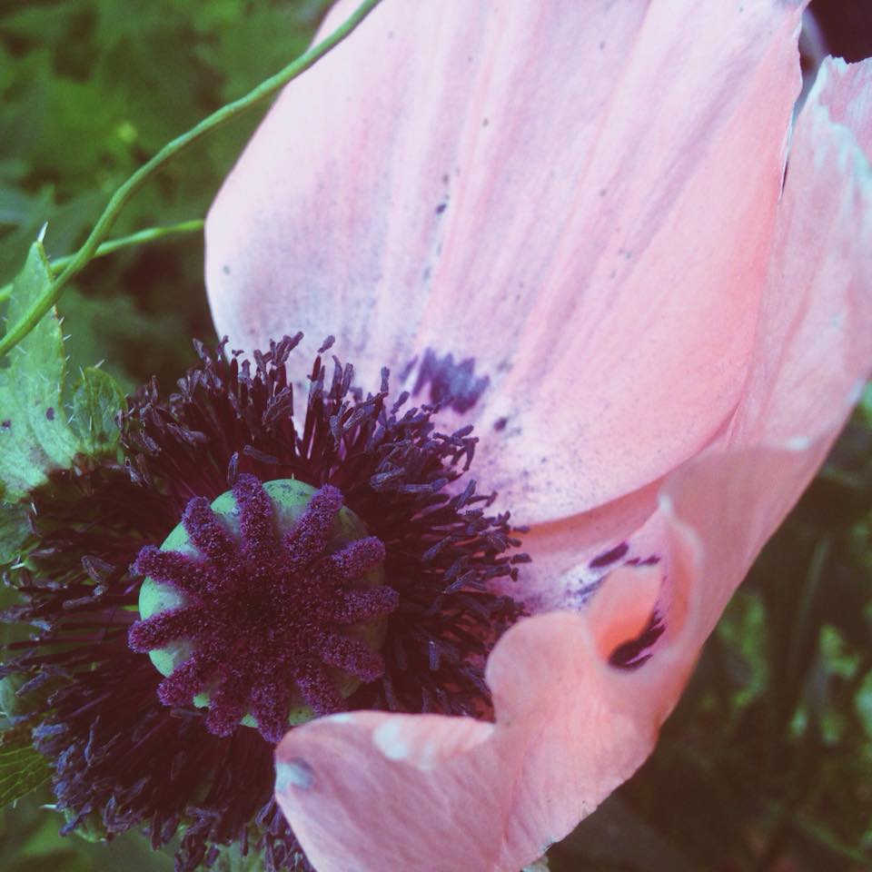 New Moon + Solar Eclipse Sept.12~13th