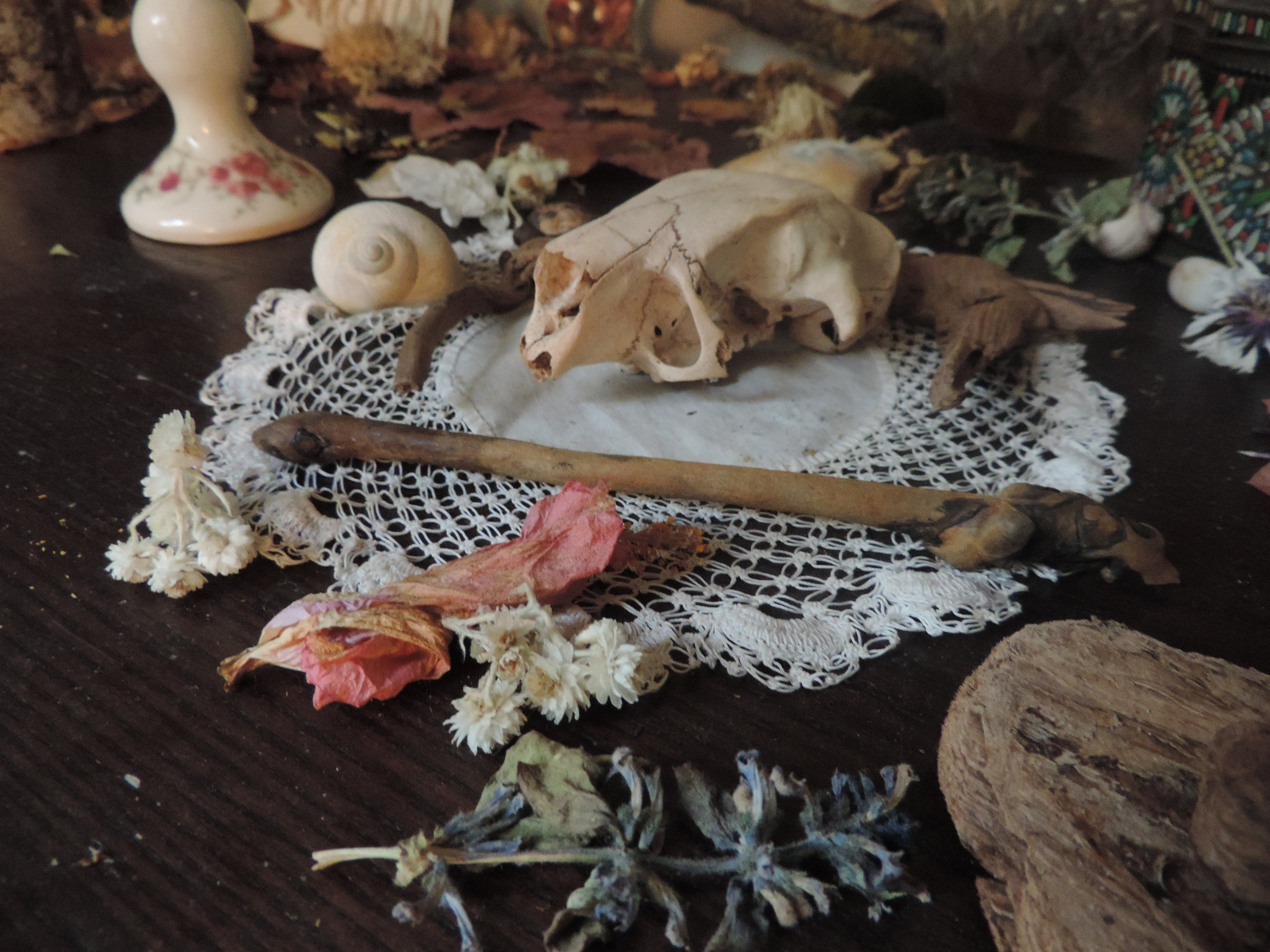 Patience of the Natural Path