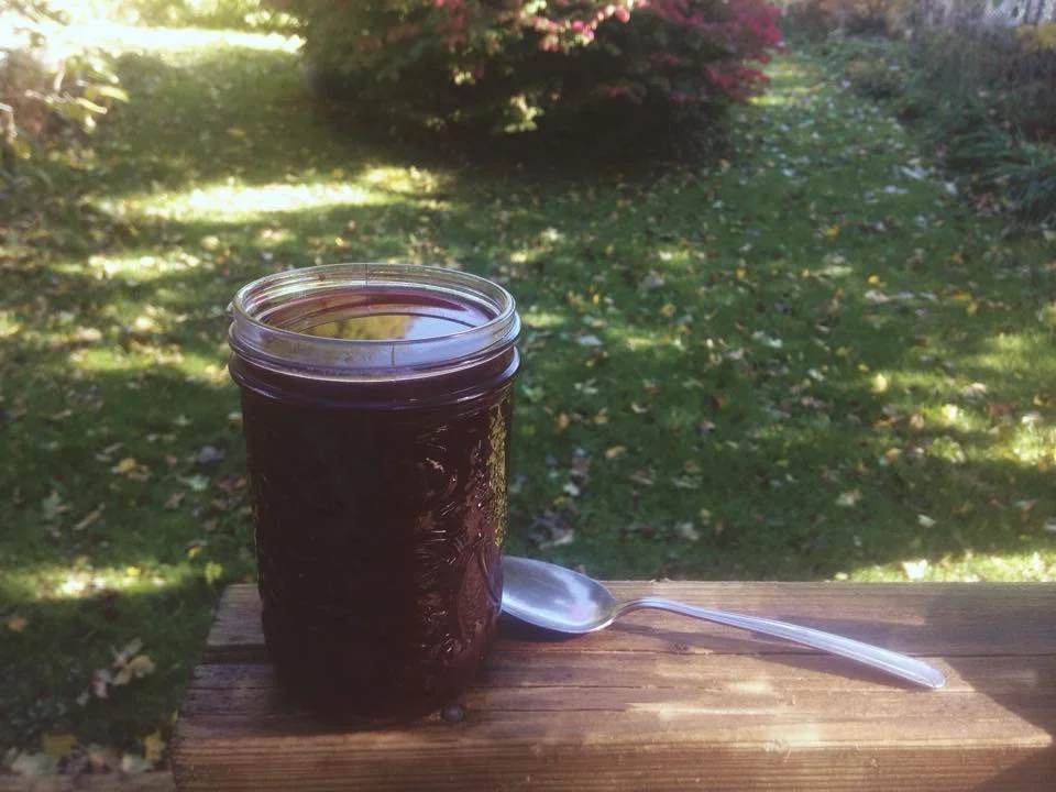 elderberry syrup.jpg