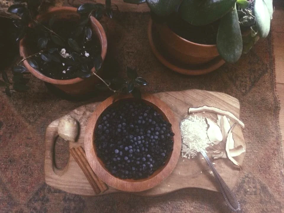 Adaptogenic Elderberry Syrup