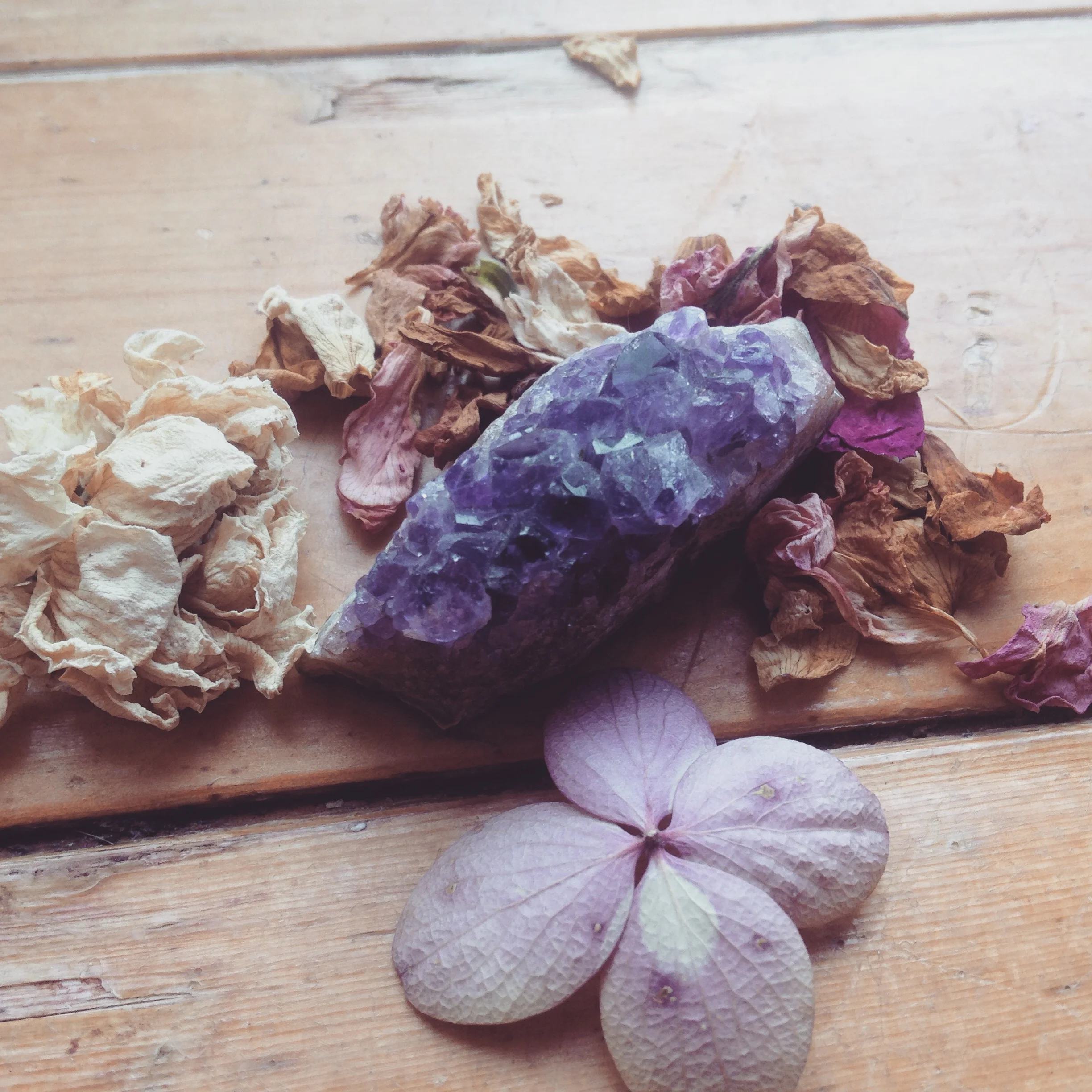 Remembering Nature's Harmony~