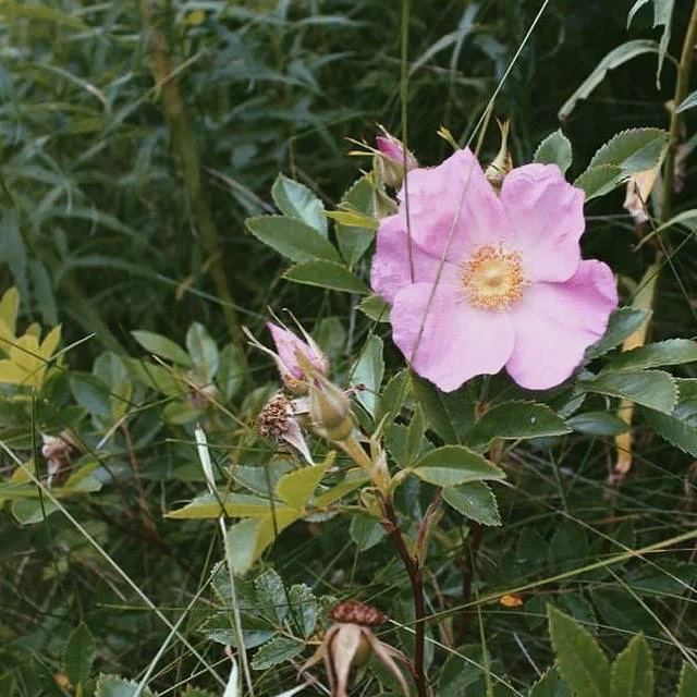 Intention on the Health Journey