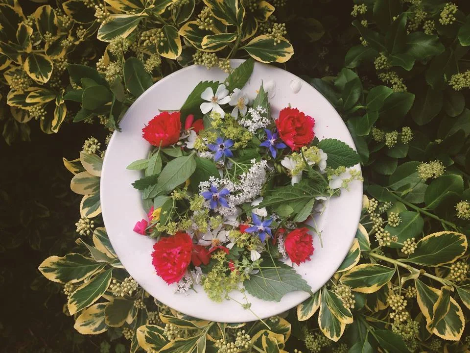 Cleansing Foods + Herbs 