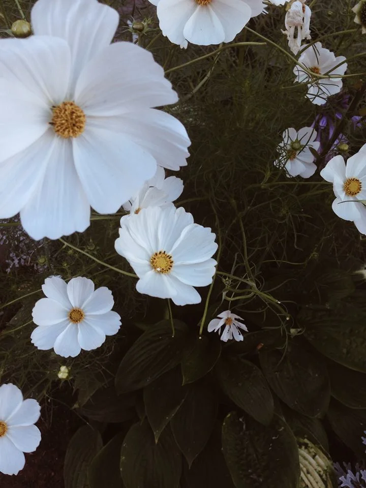 Scheduling Inspiration 