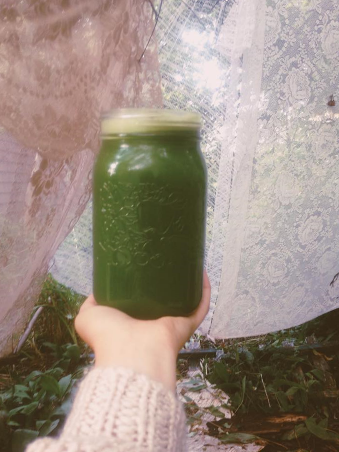 Green Juice w/ Zucchini Recipe 