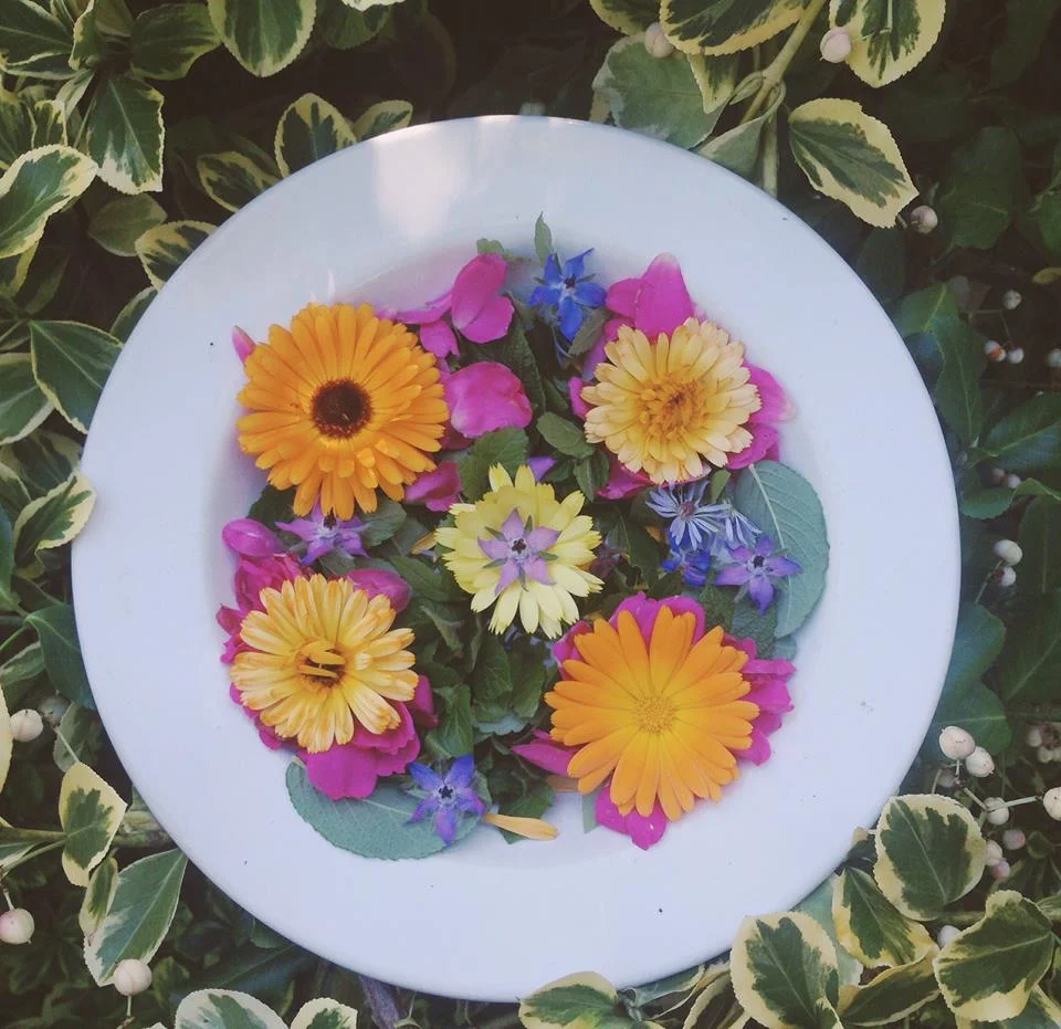 Herbs and the Chakras 