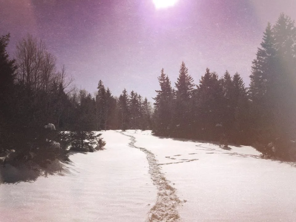 The Underworld and Why We Forget