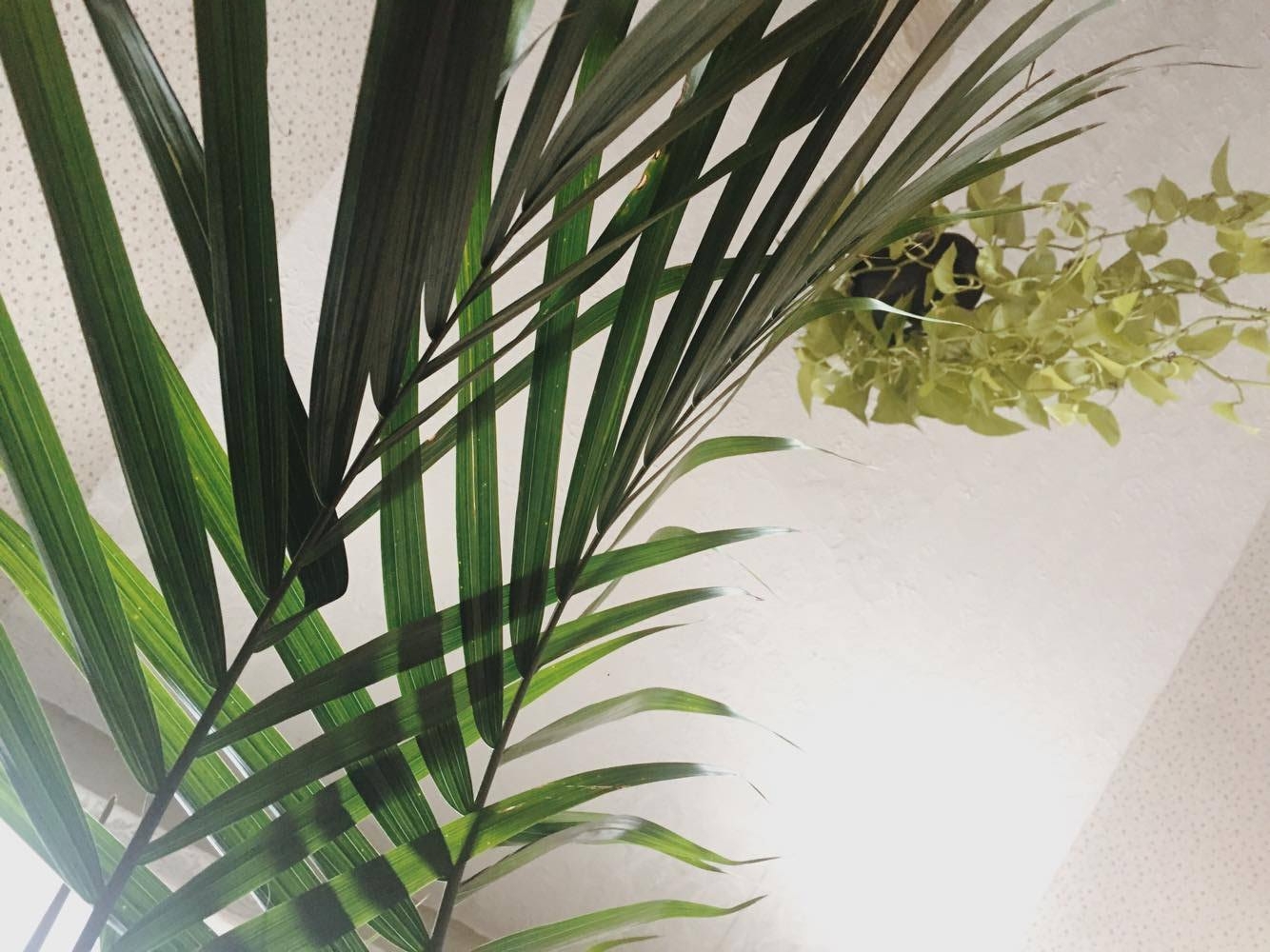 Discipline and The Stories we Tell Ourselves to Stay Small 