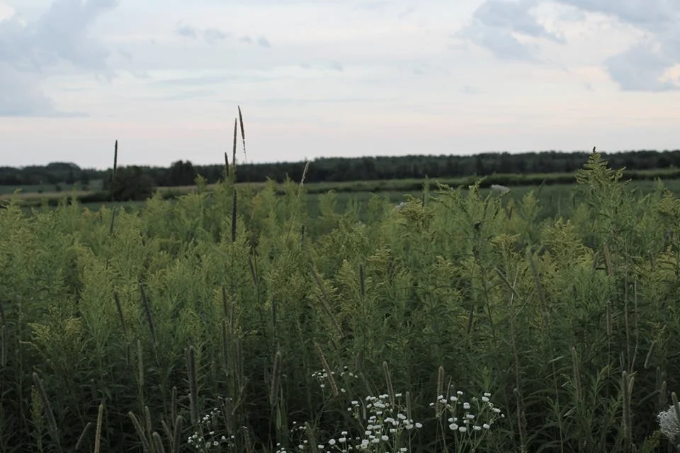 Monday Intentions One 