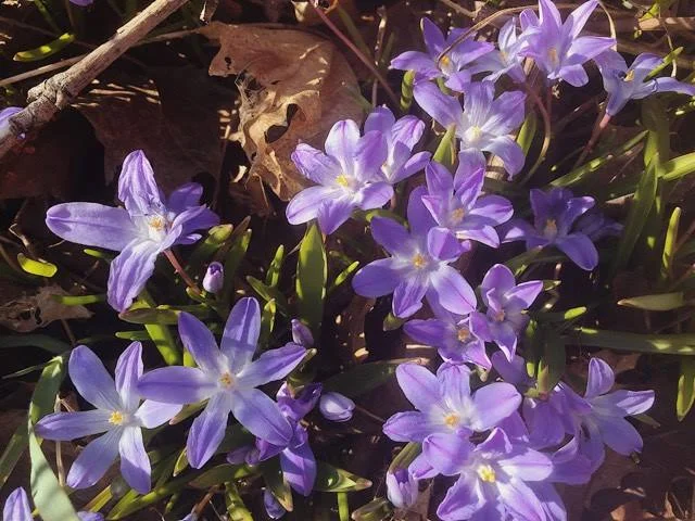 Keeping Others Out of Pain (Growth) In order to Not feel Their Pain