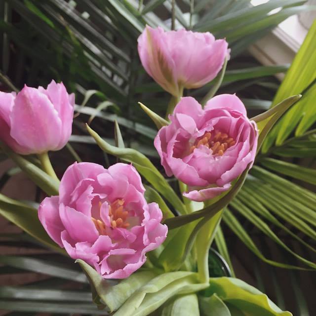 weekly intentions five.jpg