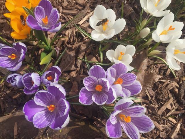 Fulfillment + Purpose/Life Work as One 