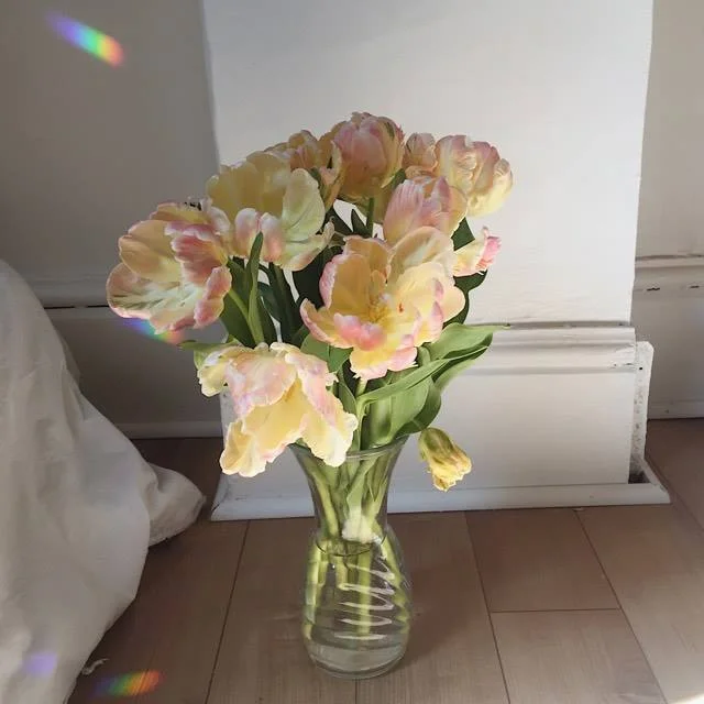 Monday Intentions Six