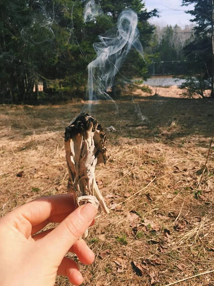 Monday Intentions Seven