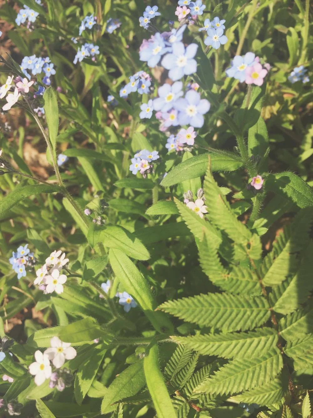 Monday Intentions Nine