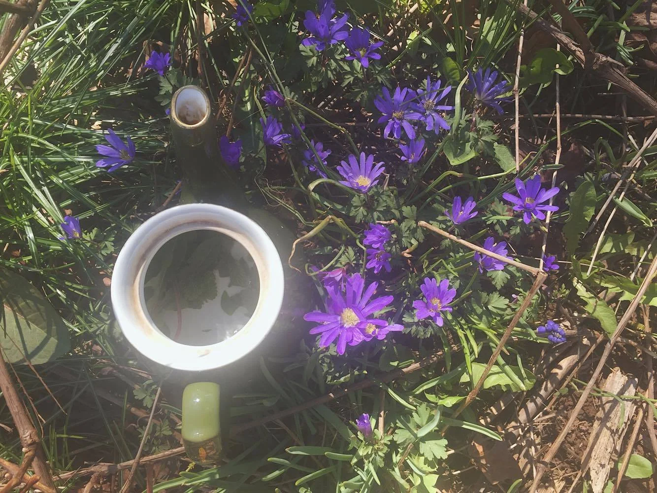 Monday Intentions Ten