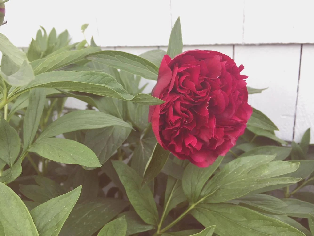 Monday Intentions Eleven 